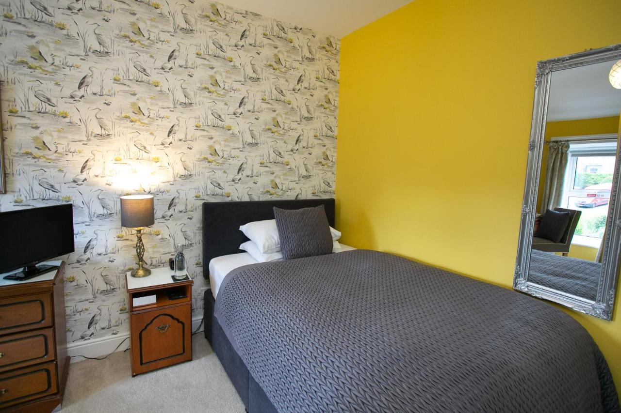 Shelleven Guest House Bangor  Dış mekan fotoğraf